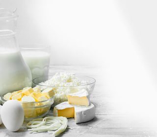 Dairy